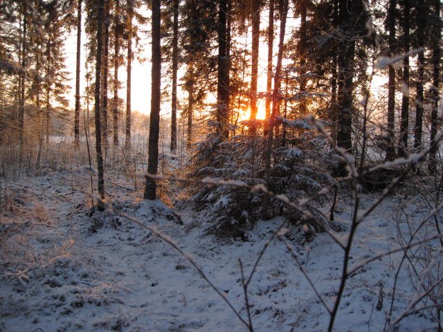 Outo valoilmiö joulukuussa