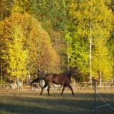 Lokakuista maisemaa 2010