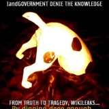 Quis custodiet ipsos custodes?Translated as 'Who will guard the guards themselves?' To Roman poet Juvenal's phrase answers WikiLeaks, the key (avoid kado) 'Apocalypse How-Feed Us'...to advant-aged freedom of speech, plaudete...'Doggie' knows and reso