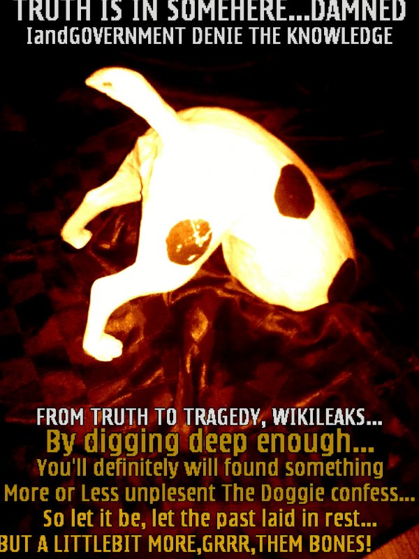 Quis custodiet ipsos custodes?Translated as 'Who will guard the guards themselves?' To Roman poet Juvenal's phrase answers WikiLeaks, the key (avoid kado) 'Apocalypse How-Feed Us'...to advant-aged freedom of speech, plaudete...'Doggie' knows and reso