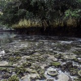 Disney Lake, Koror, Palau