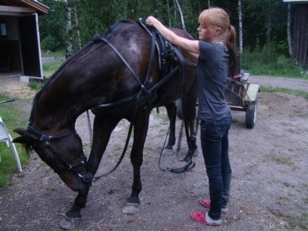 työturvallisuus ja aamutossut treenatessa?