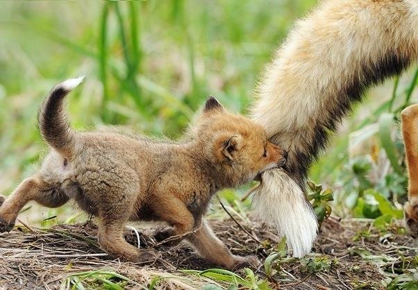 Mommy, wait up!