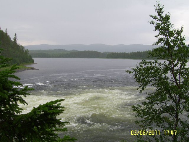 Kosken alajuoksu (Tännforsen)