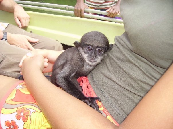 En keksi mitään söpömpää :) (Sri Lanka 2009)