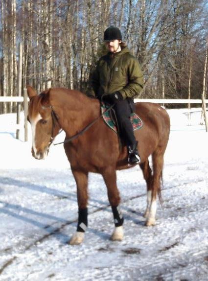 2012 Talvi. Hanskia ulkoiluttamassa. Näytän jopa koomisen lyhyeltä tuon selässä.