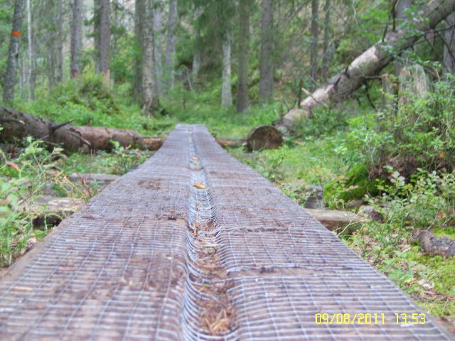 Tiveden Kansallispuistossa, toimiva liukstumisesto pitkoksilla.