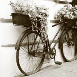Hyvä pyörä etsii rakastavaa kotia