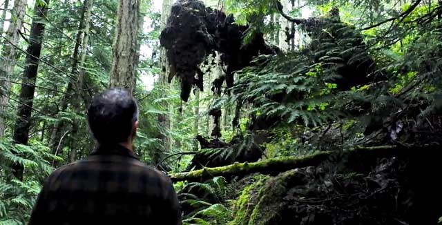 Mount Eerie vie kuulijansa muun muassa syvällä metsän siimekseen.