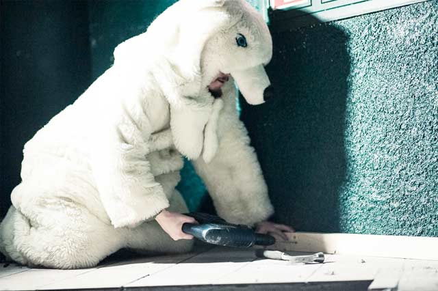 Popkellarin jäämistöstä löytyi jääkarhu, joka osoittautui kovaksi remonttimieheksi. Nyt sille on varattu paikka Paksun voimaeläimenä.