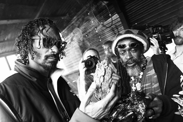 Snoopin Jamaikan matkaan kuului tottakai myös tutustumista paikallisiin yrtteihin.
