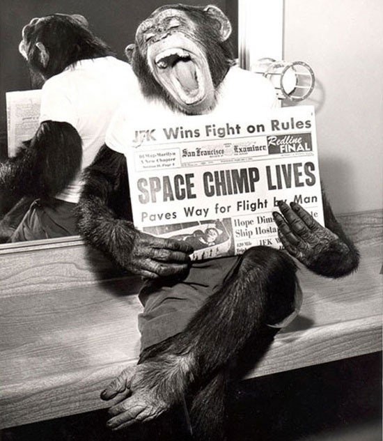 Avaruussimpanssilla nousi menestys päähän vuonna 1961.