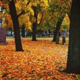 RUTTOPUISTO PISTÄÄ PARASTAAN