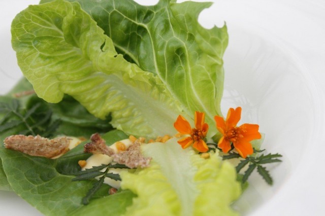 Taivaalla syötävässä salaattissa on se vaara, että se saattaa lähteä tuulen mukana lentoon.