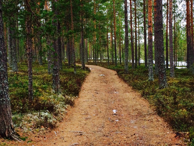 Hyväksyminen muovaa elämänpolustani huomattavasti helppokulkuisemman.