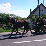 Romaniassam näki silloin tällöin ihmisiä kulkemassa hevosilla pitkin autoteitä. Moottoripyörällä ajaessa piti varoa ettei mutkassa ollut hevosen tai lehmän jättämää liukumiinaa.