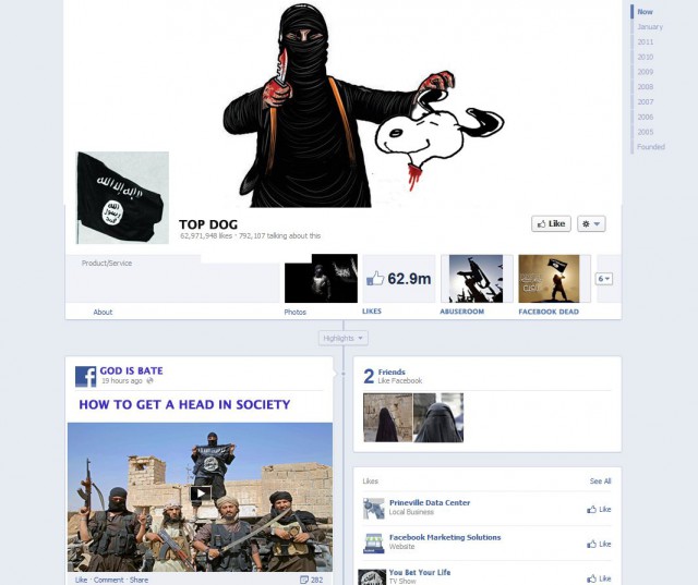 Disclaimer: This is not a real FB page but a mock-up created by the author RW