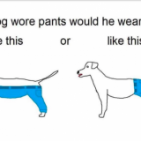 Jos koiralla olisi housut, miten se pukisi ne?