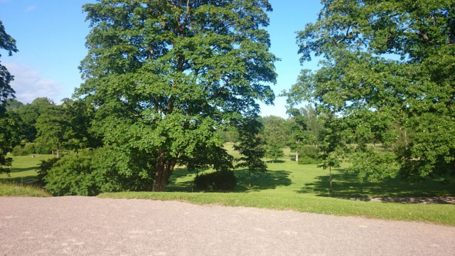 pétanque field