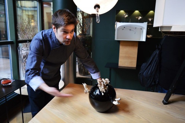 Henri Alénin (kuvassa) ja Tommi Tuomisen ravintola Ultimassa osterivinokkaita kasvatetaan Ateljé Sotamaan suunnittelemassa design-sieniviljelmässä.