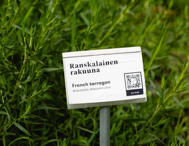 Green City Farmin kasviksissa ei käytetä kemiallista torjuntaa ja kaikki viljellään luonnon ehdoilla luonnollisissa olosuhteissa monimuotoisuutta kunnioittaen.