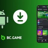 Step-By-Step Guide to Download the BC Game APK
