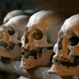 Video ei herkille: luumuseo paljasti kuriositeettinsa