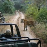 Best wildlife National parks in Rajasthan India
