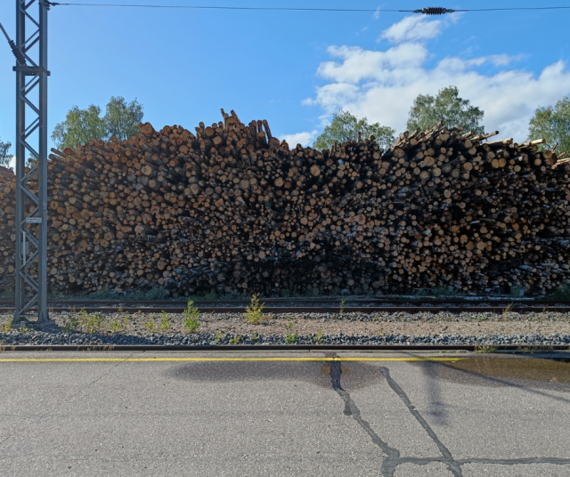 Salon juna-asema syksyllä 2024.