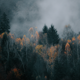 Kolme hyvin mustaa true crime -tapausta maailmalta — Suomi mainittiin yhtenä