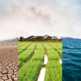 Huumeiden tuotanto ja torjunta kuormittavat ympäristöä – Euroopassa syntyy jäteongelma, josta ei puhuta