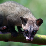 Tiedemiehet selvittivät miksi 