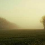 Dartmoorin pedon arvoitus ratkesi Britanniassa – olikin vain ylipainoinen kotikissa