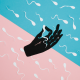 Näin saat poikavauvoja — tutkimus väittää, että ajoituksella on väliä