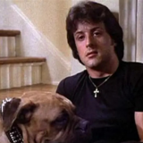 Mies myi koiransa 40 dollarilla – osti saman lemmikin takaisin 15 000 dollarilla