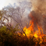 Mitä on ilmastodenialismi – ja miksi se on niin vaarallista