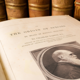 Darwin-palkinnot – mustaa huumoria luonnonvalinnasta