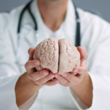 Aivojesi murrosikä kestää 30-vuotiaaksi – ehkä siksi aikuisuus tuntuu yhä harjoittelulta