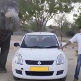 Hiring a Private Car and Driver in India is the Smartest Choice