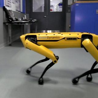 Katso, kuinka taitavasti SpotMini-robotti avaa oven