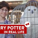 Tosielämän Harry Potter hämmensi juna-asemalla