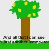 Ihan paras Fools Garden Lemon Tree -musavideo